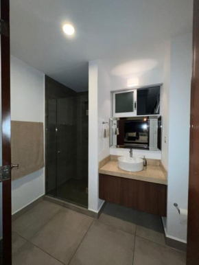 Penthouse en Condominio